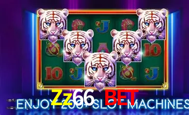 Zz66 Login